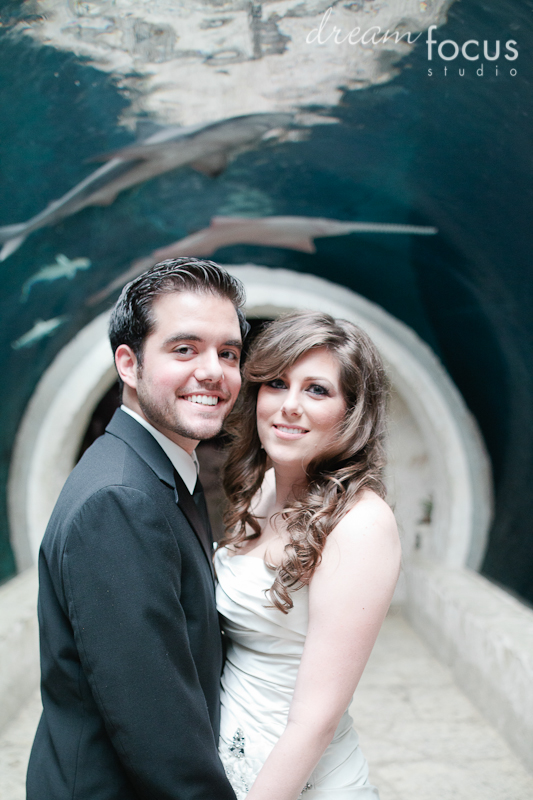 Jessica & Ramin | Dallas World Aquarium Wedding