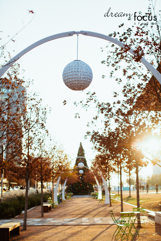 professional holiday photos Dallas Texas Klyde Warren Park