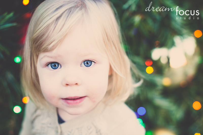 professional holiday photos Dallas Texas Klyde Warren Park