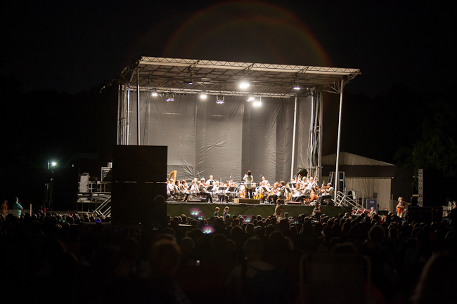 Farmer's Branch Historical Park Stars and Strings Event