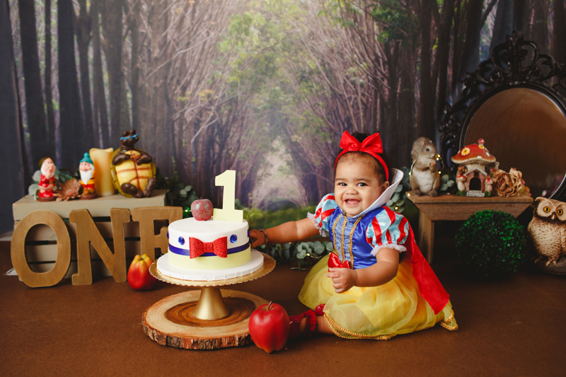 dallas cake smash photographer snow white