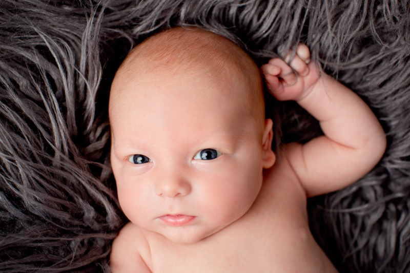 dallas newborn photographer 