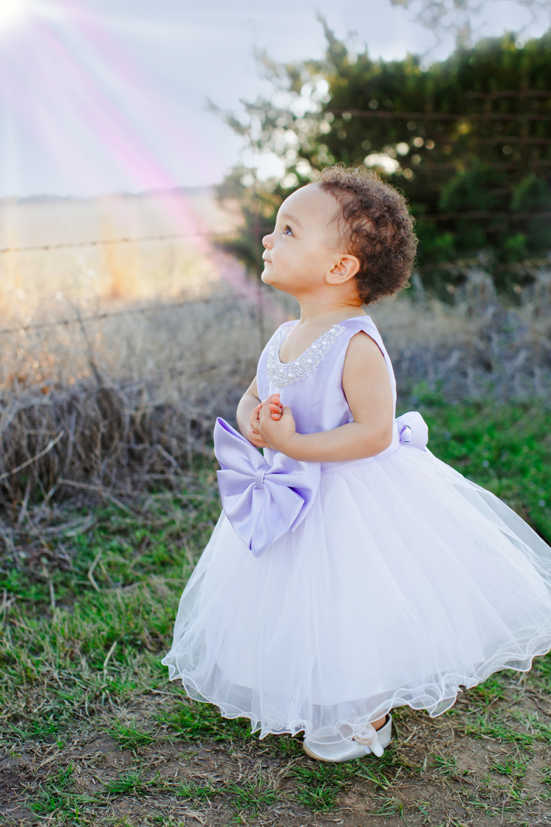 texas tulips photography mini sessions