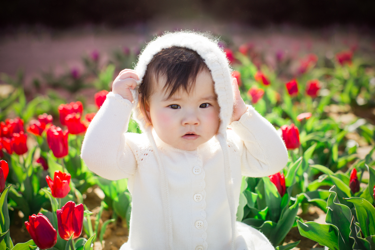 texas tulips photography mini sessions