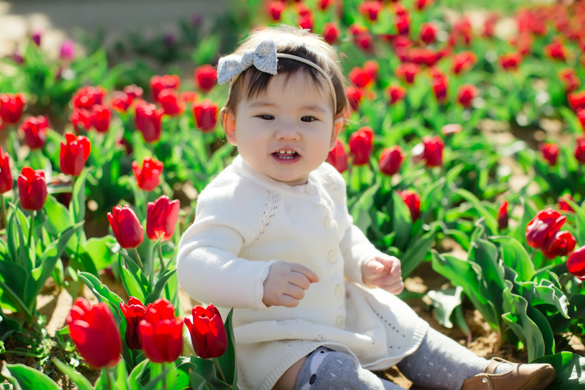 texas tulips photography mini sessions