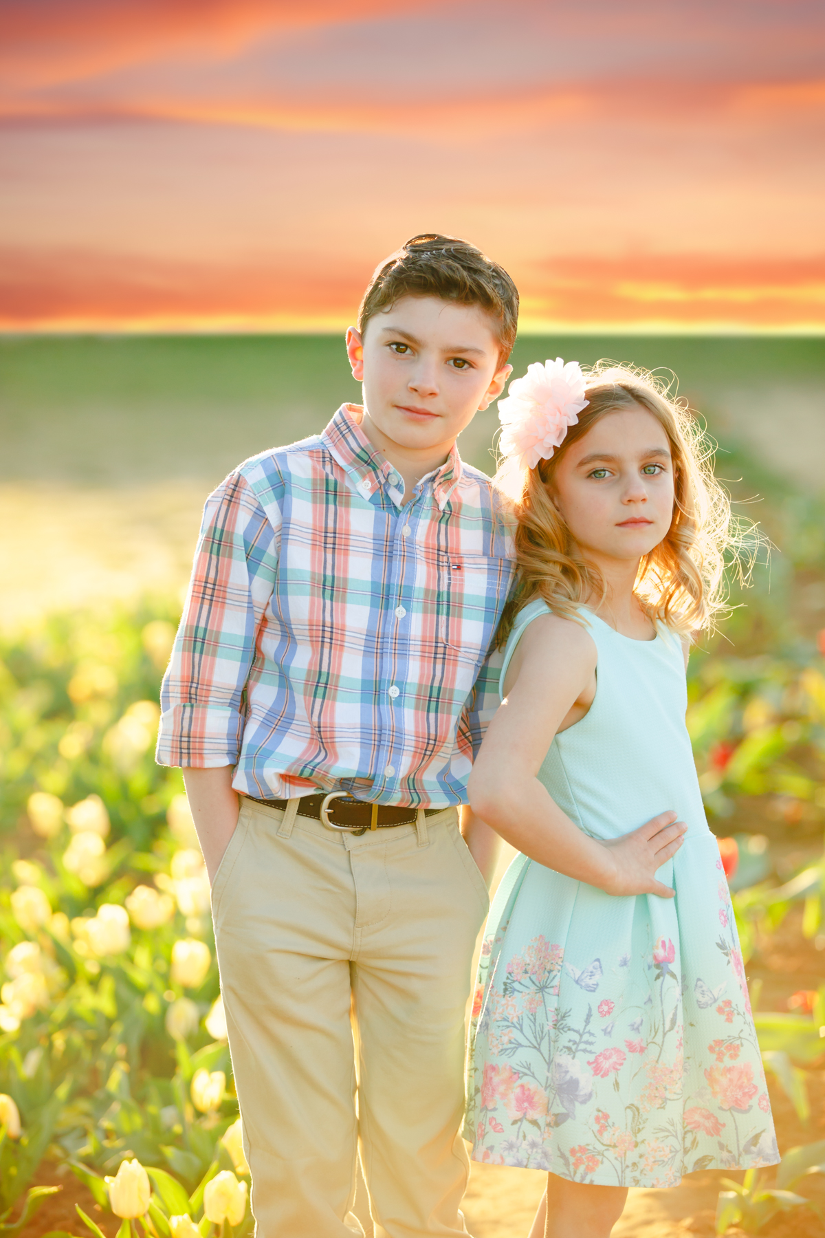 texas tulips photography mini sessions