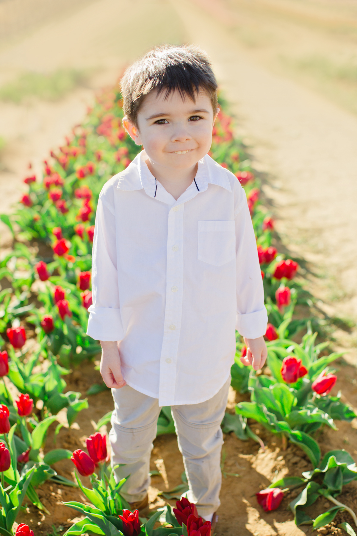 texas tulips photography mini sessions