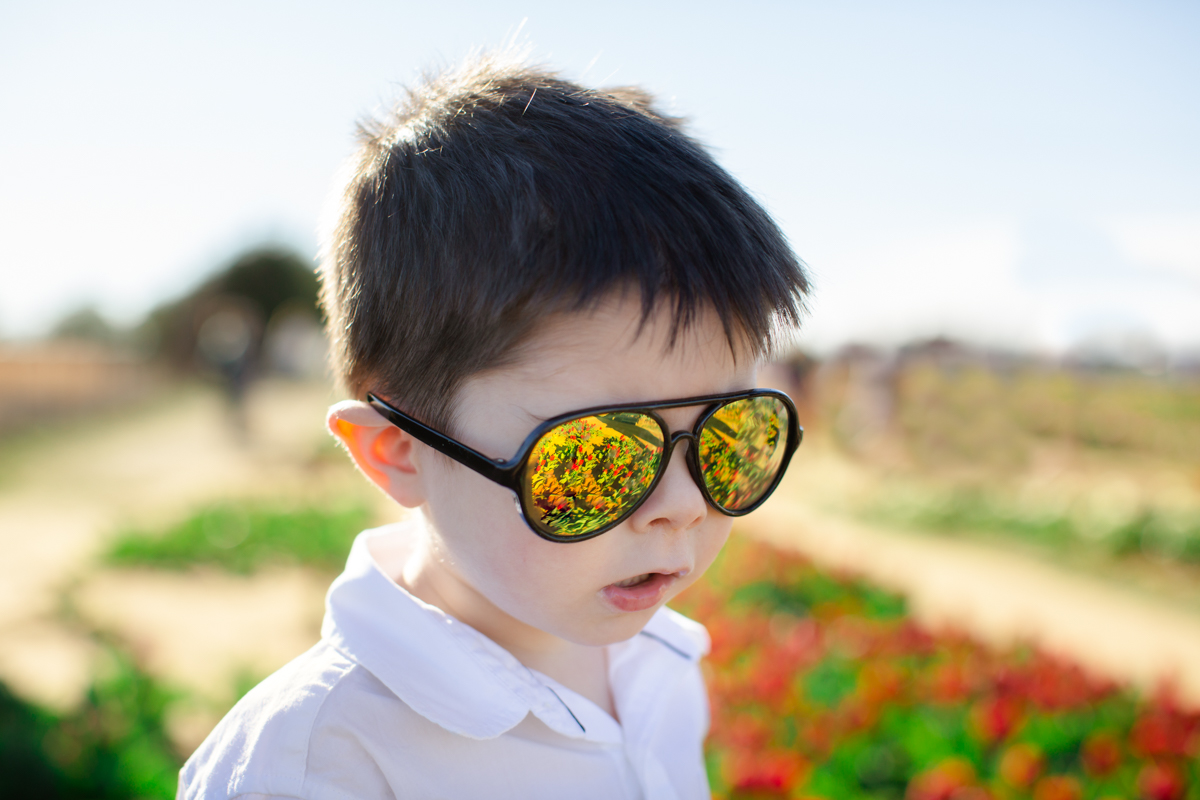 texas tulips photography mini sessions