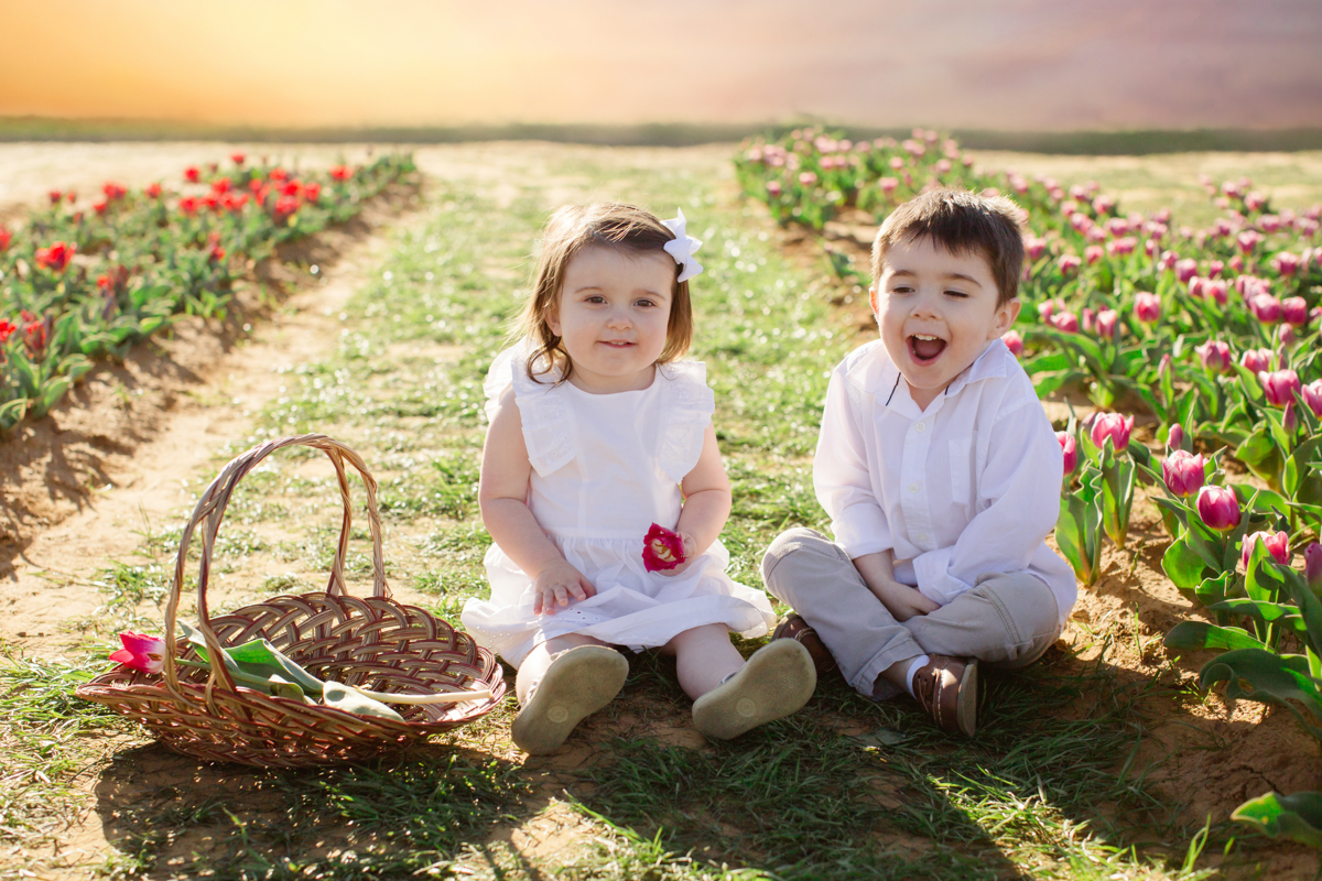 texas tulips photography mini sessions