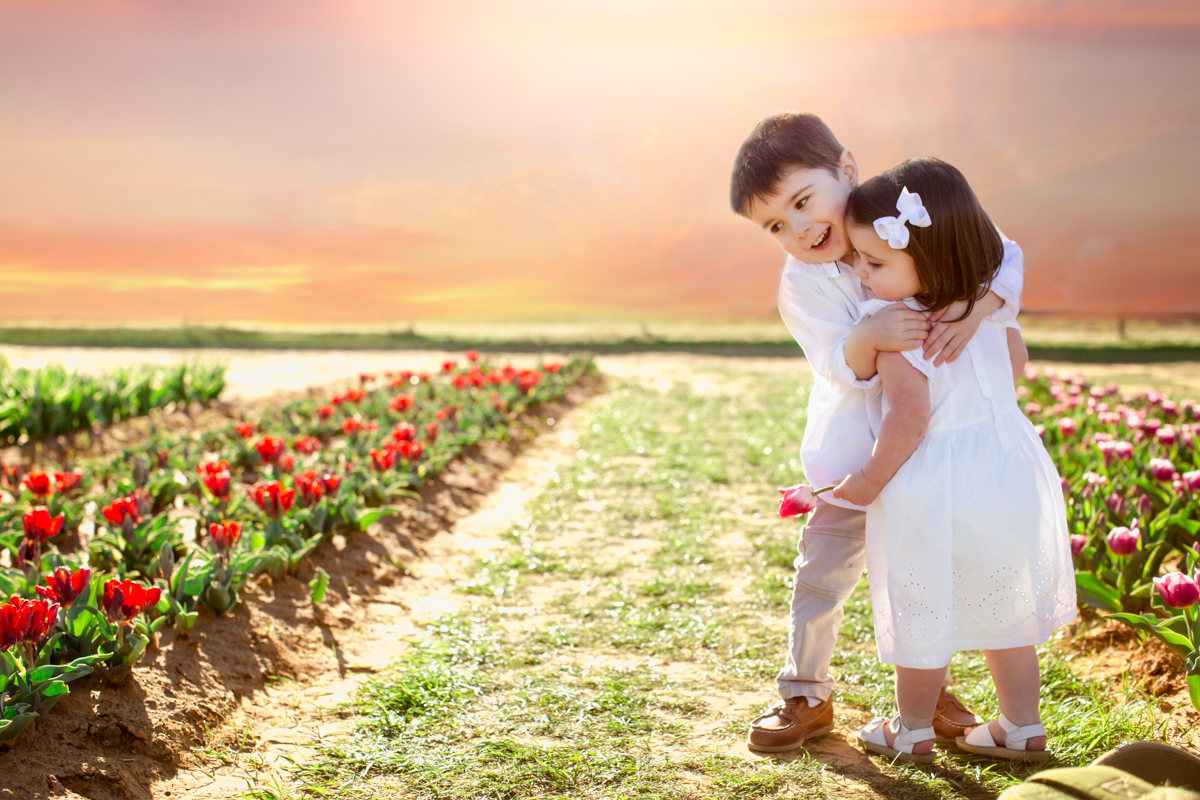 texas tulips photography mini sessions