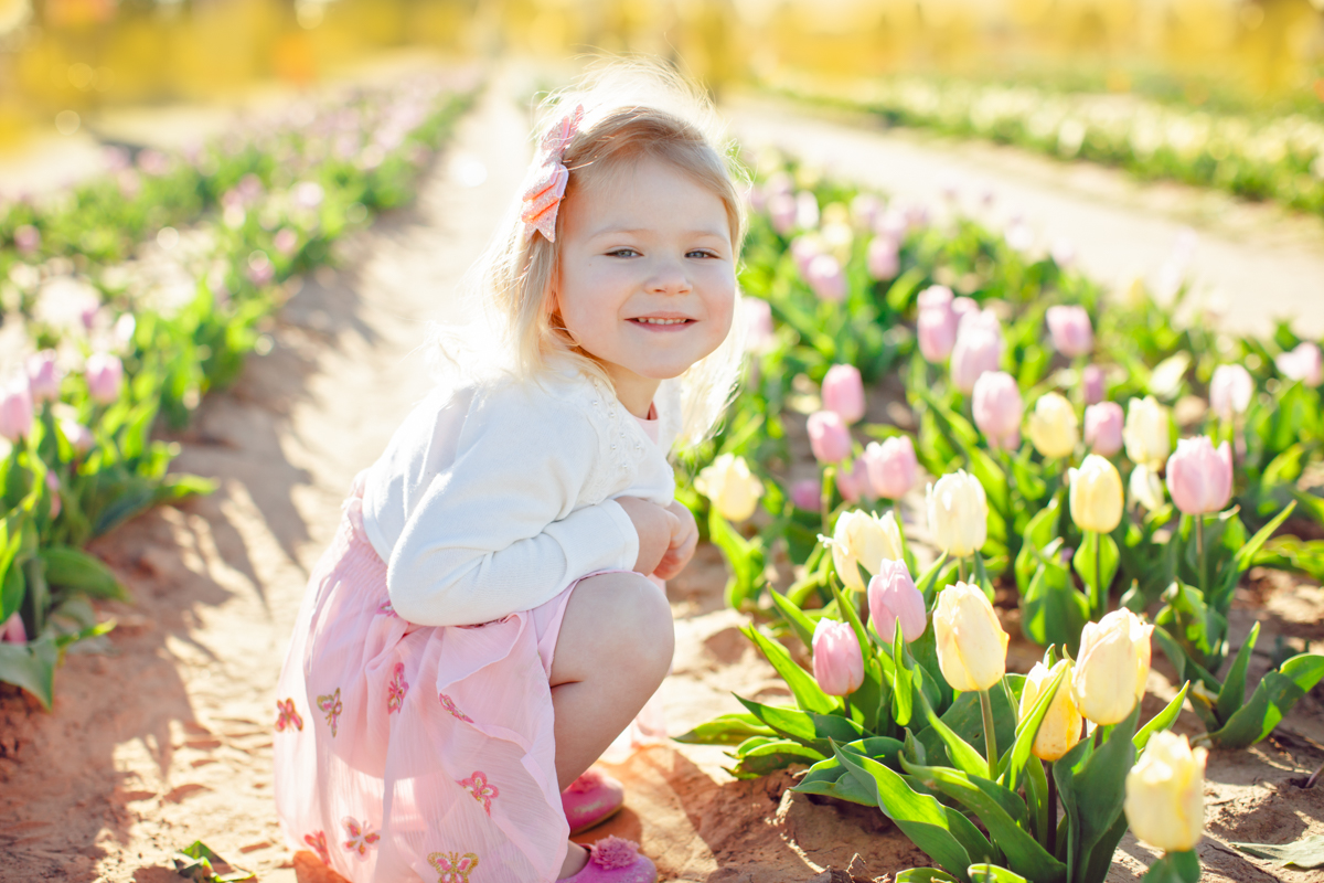 texas tulips photography mini sessions