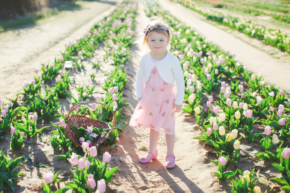 texas tulips photography mini sessions