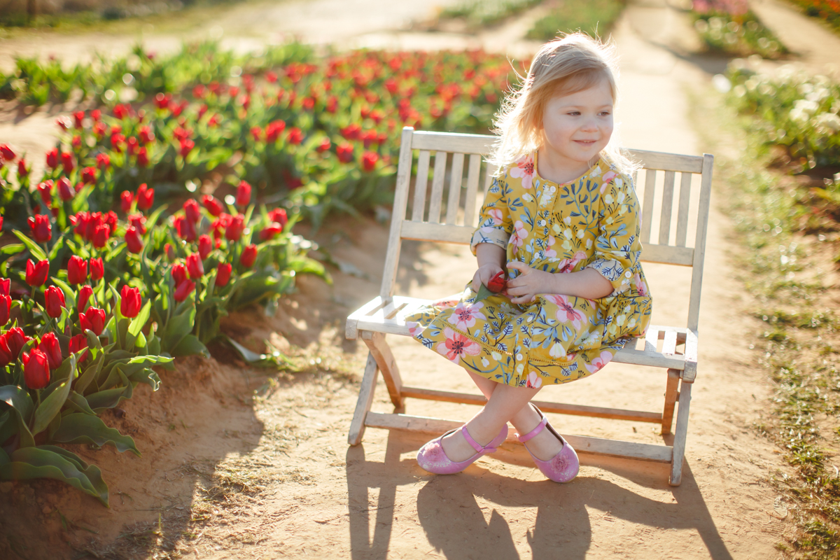 texas tulips photography mini sessions