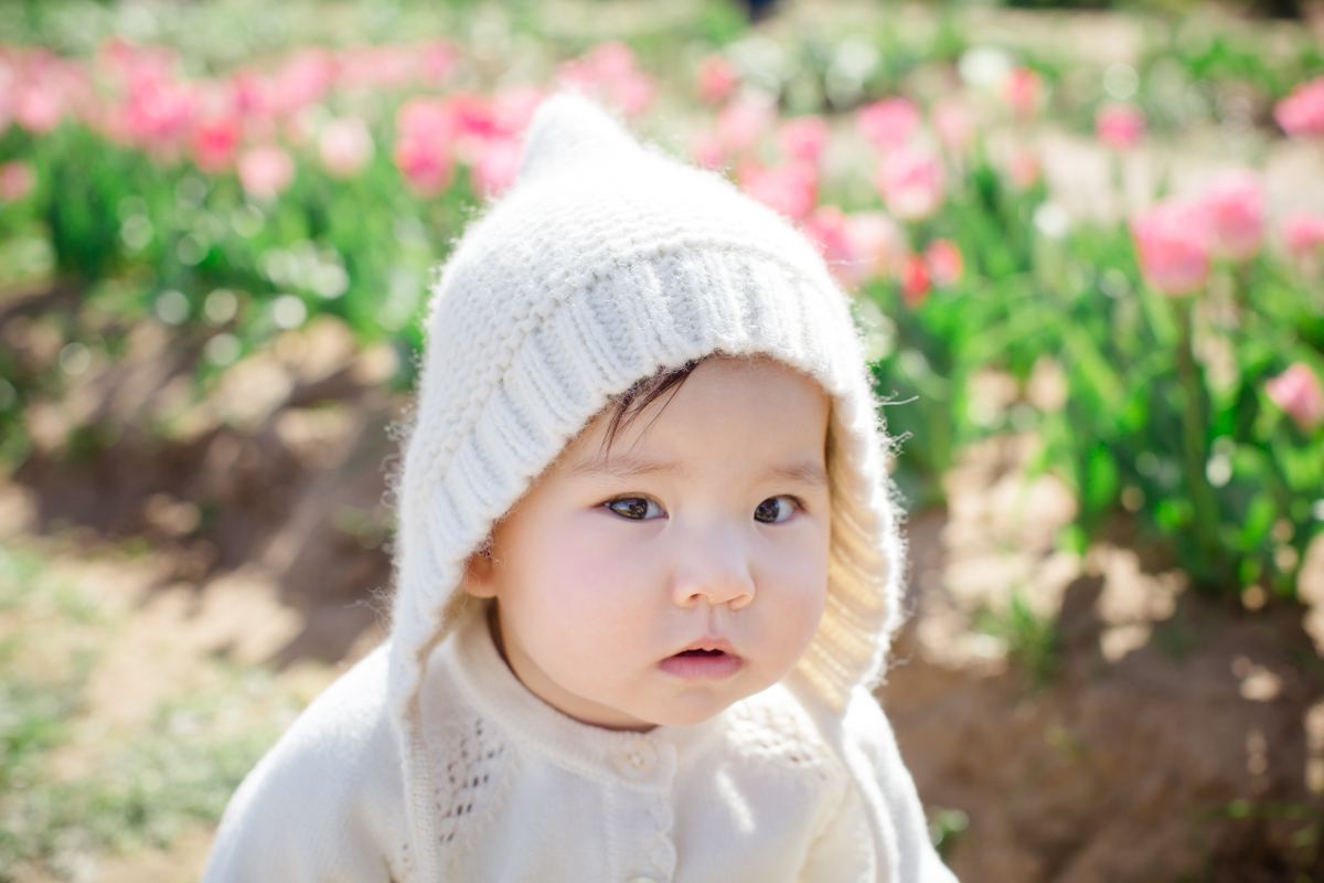 texas tulips photography mini sessions