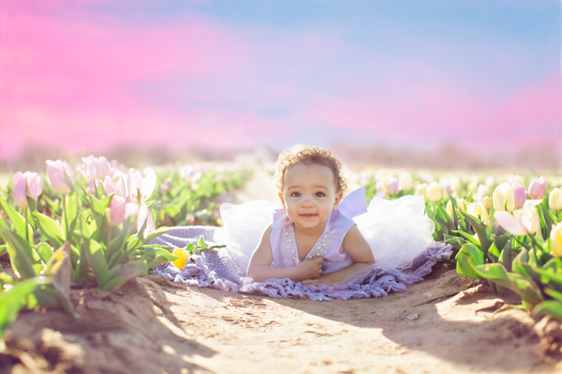 texas tulips photography mini sessions