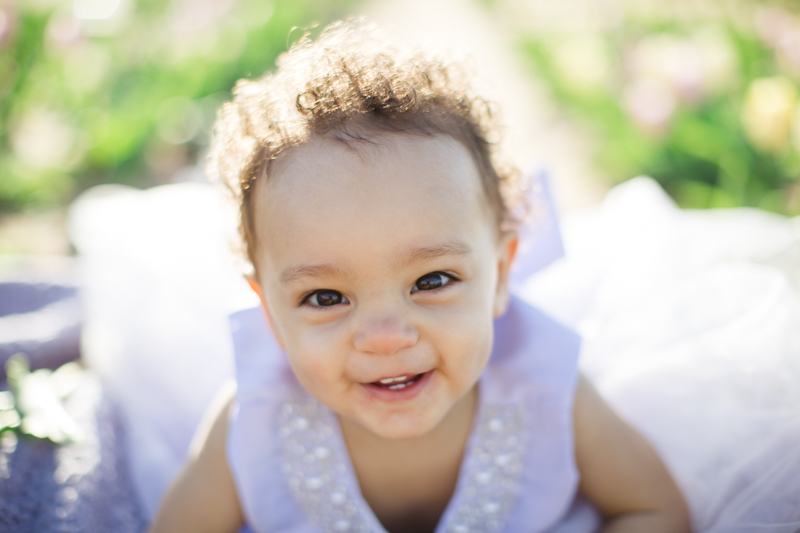 texas tulips photography mini sessions