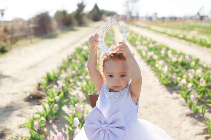 texas tulips photography mini sessions