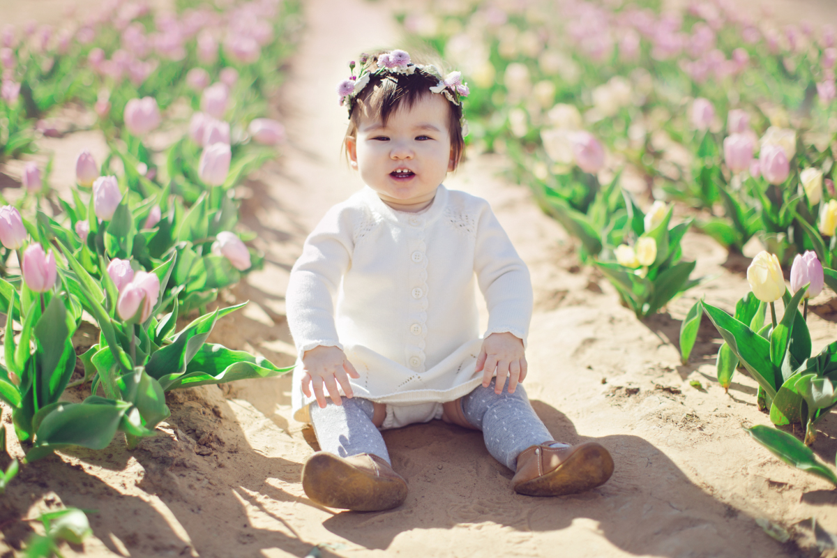 texas tulips photography mini sessions