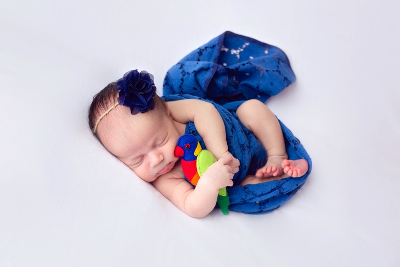 best dallas newborn photographer carnival baby