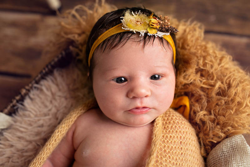 dallas newborn photography studio