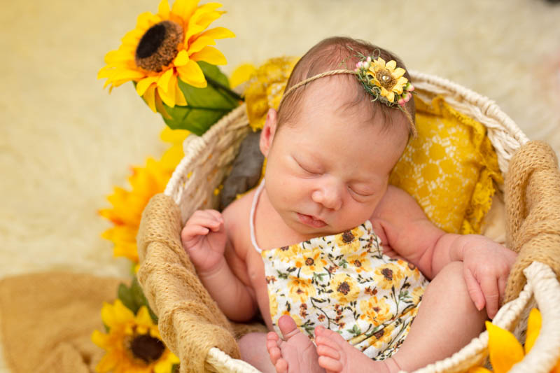 Baby girl | Sunflower Session