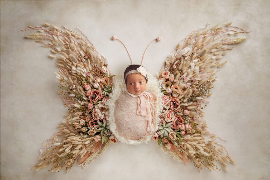 best dallas newborn photographer butterfly